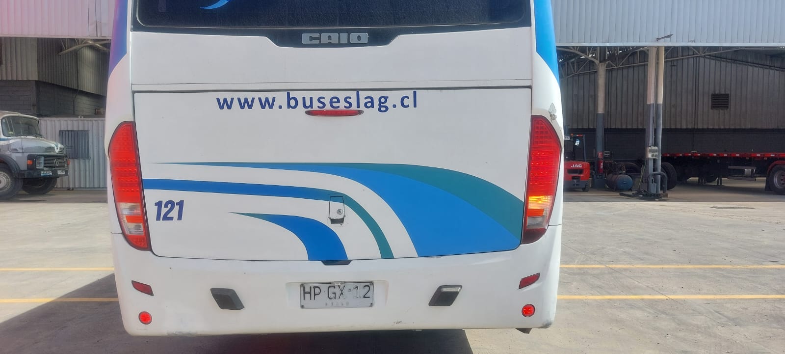 Bus Ejecutivo Full